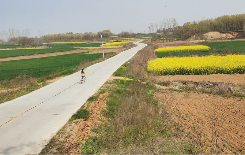 駐馬店市驛城區2017年農村公路、橋梁項目2標段